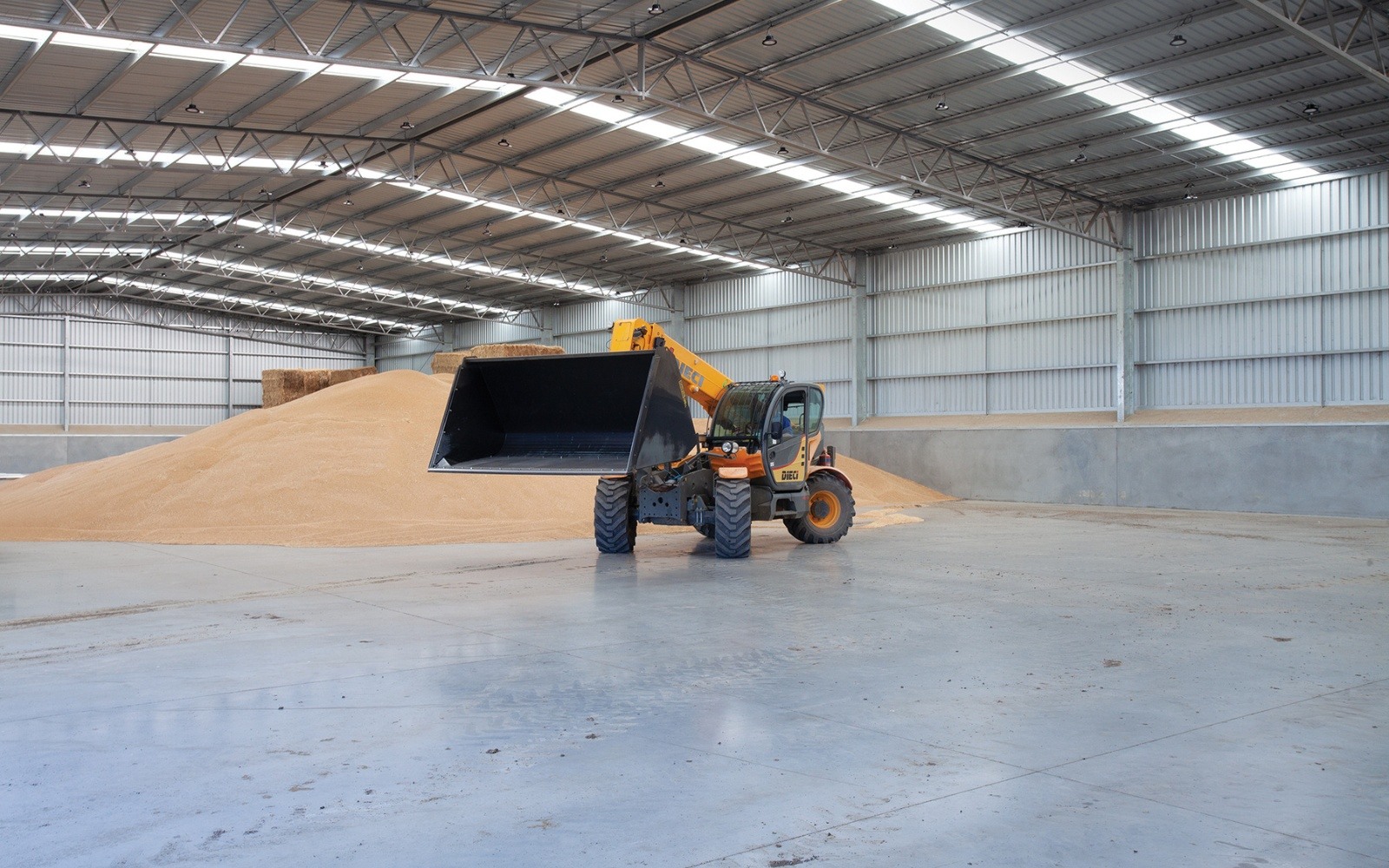 Bulk storage shed