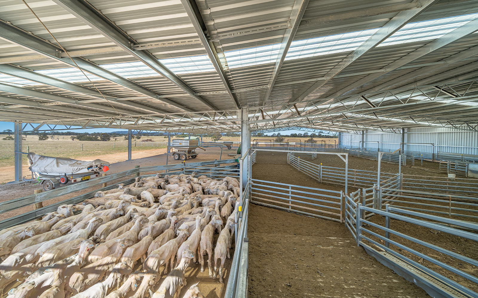 Andrew Whale shearing shed 