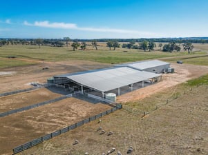 Andrew Whale shearing shed 1_gallery