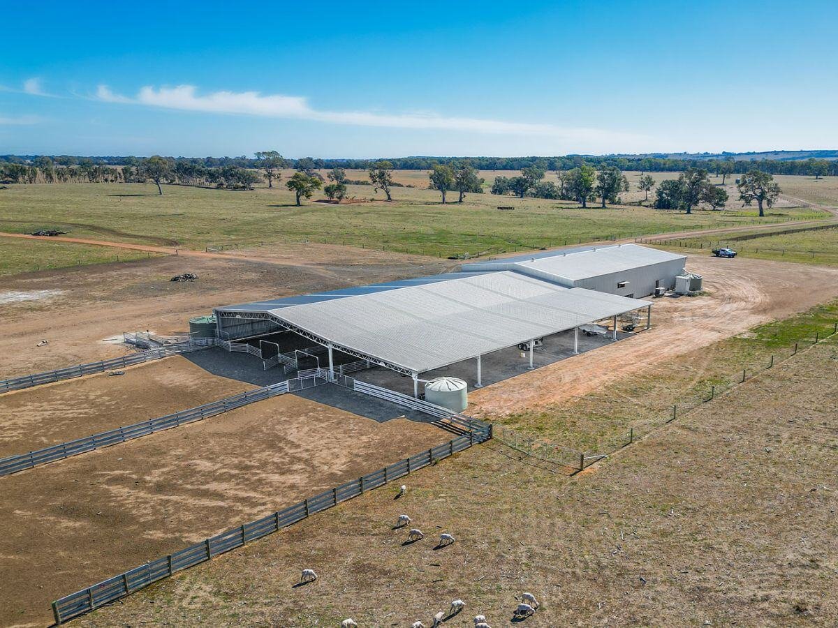 Andrew Whale shearing shed 