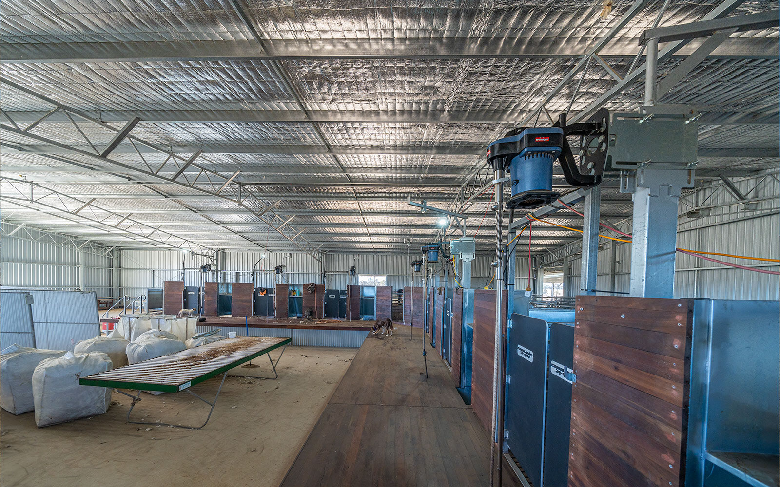 Andrew Whale shearing shed 