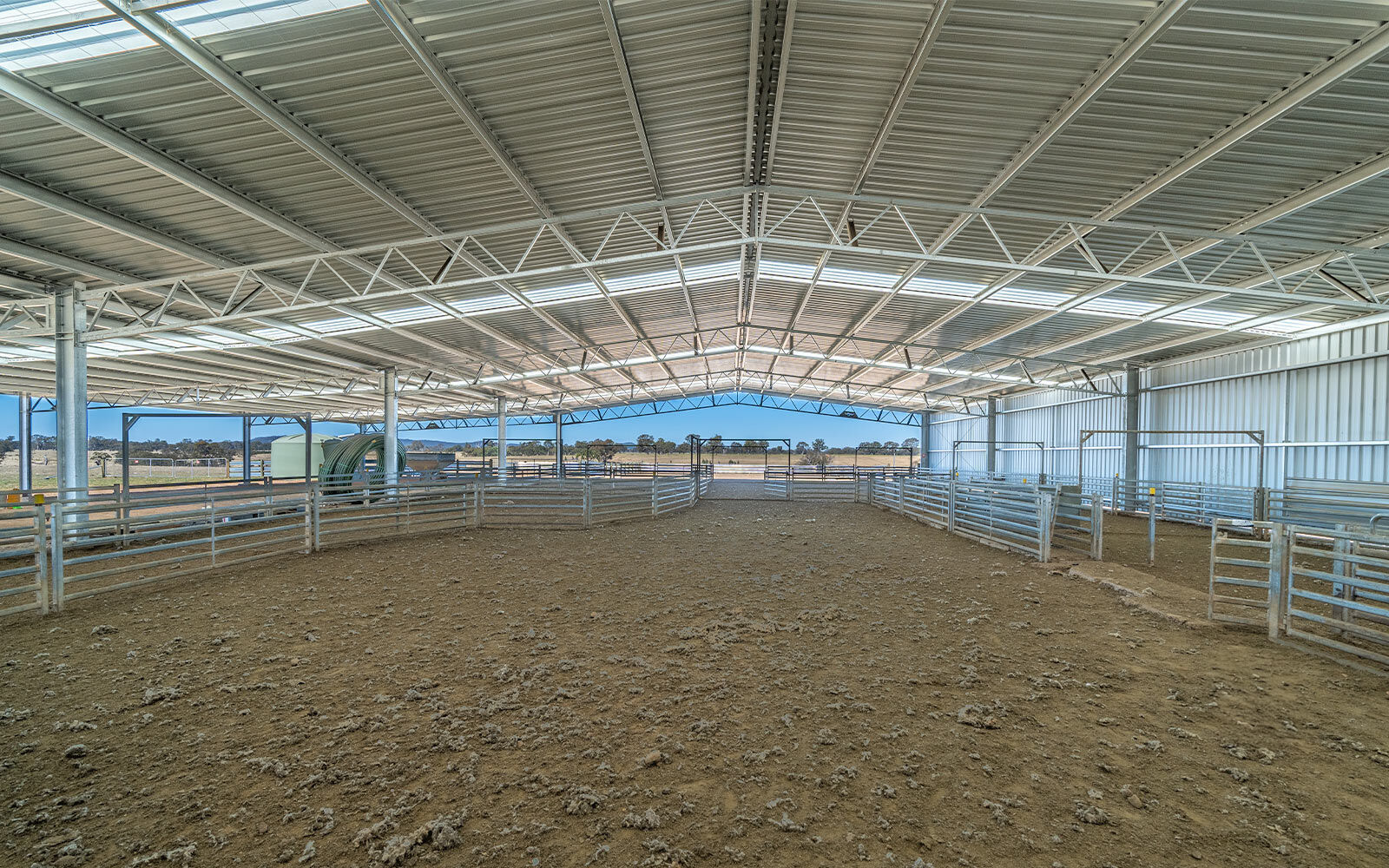 Andrew Whale shearing shed