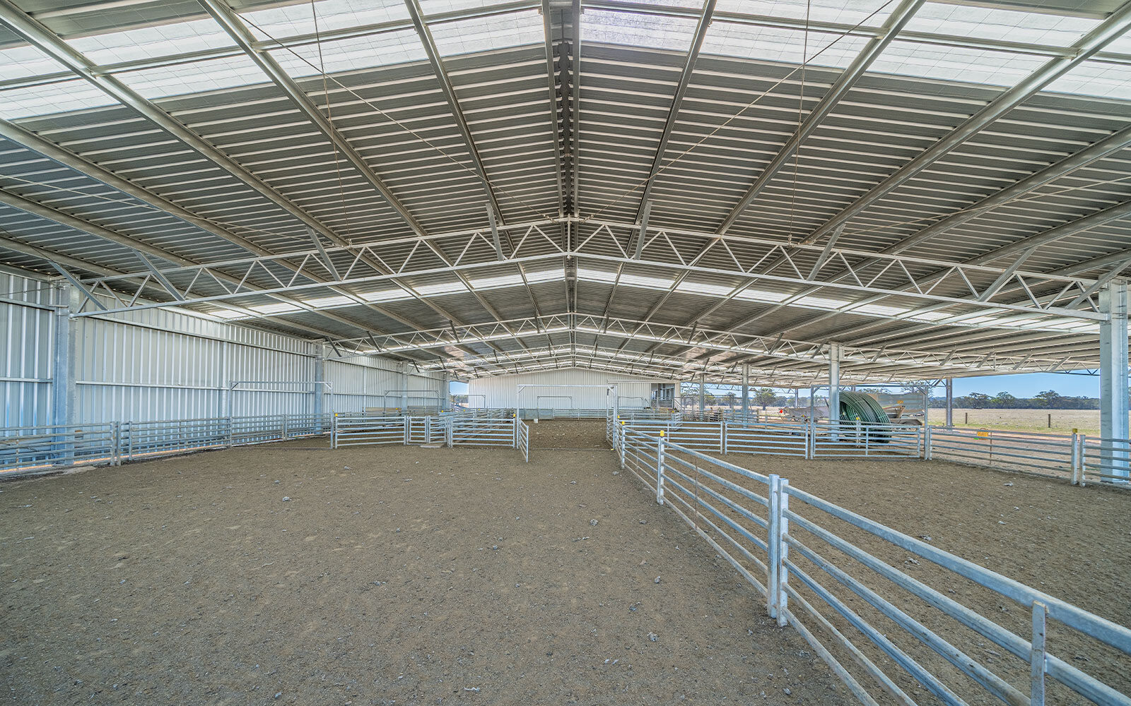 Andrew Whale shearing shed  