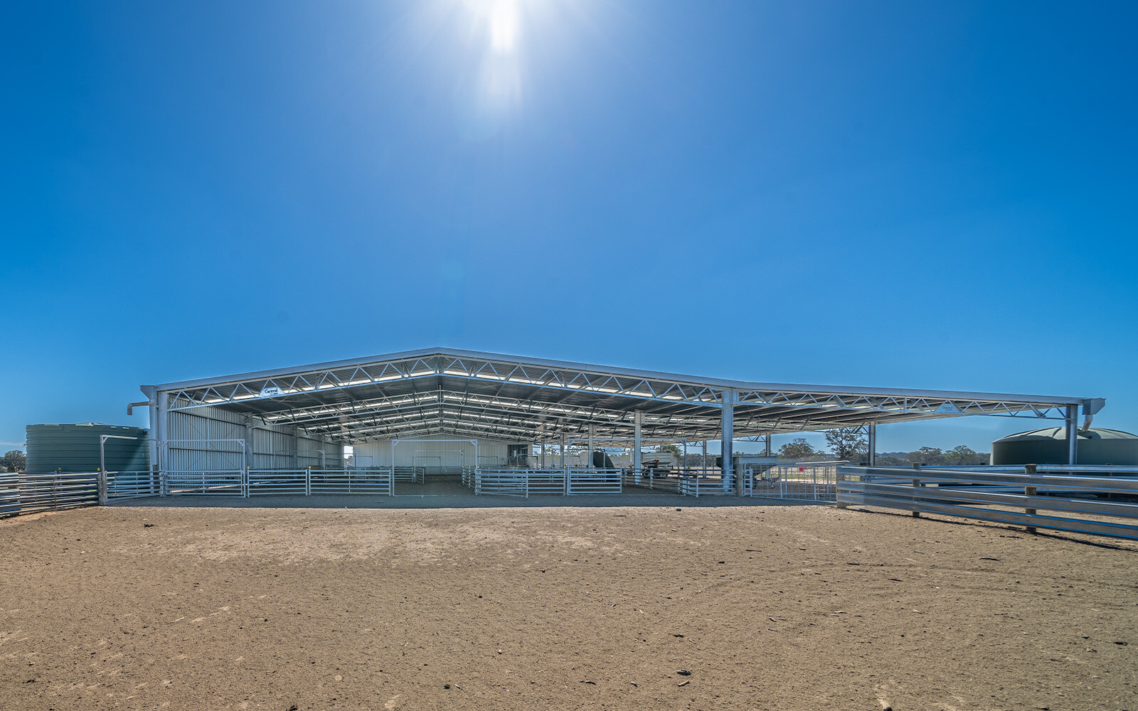 Andrew Whale shearing shed  