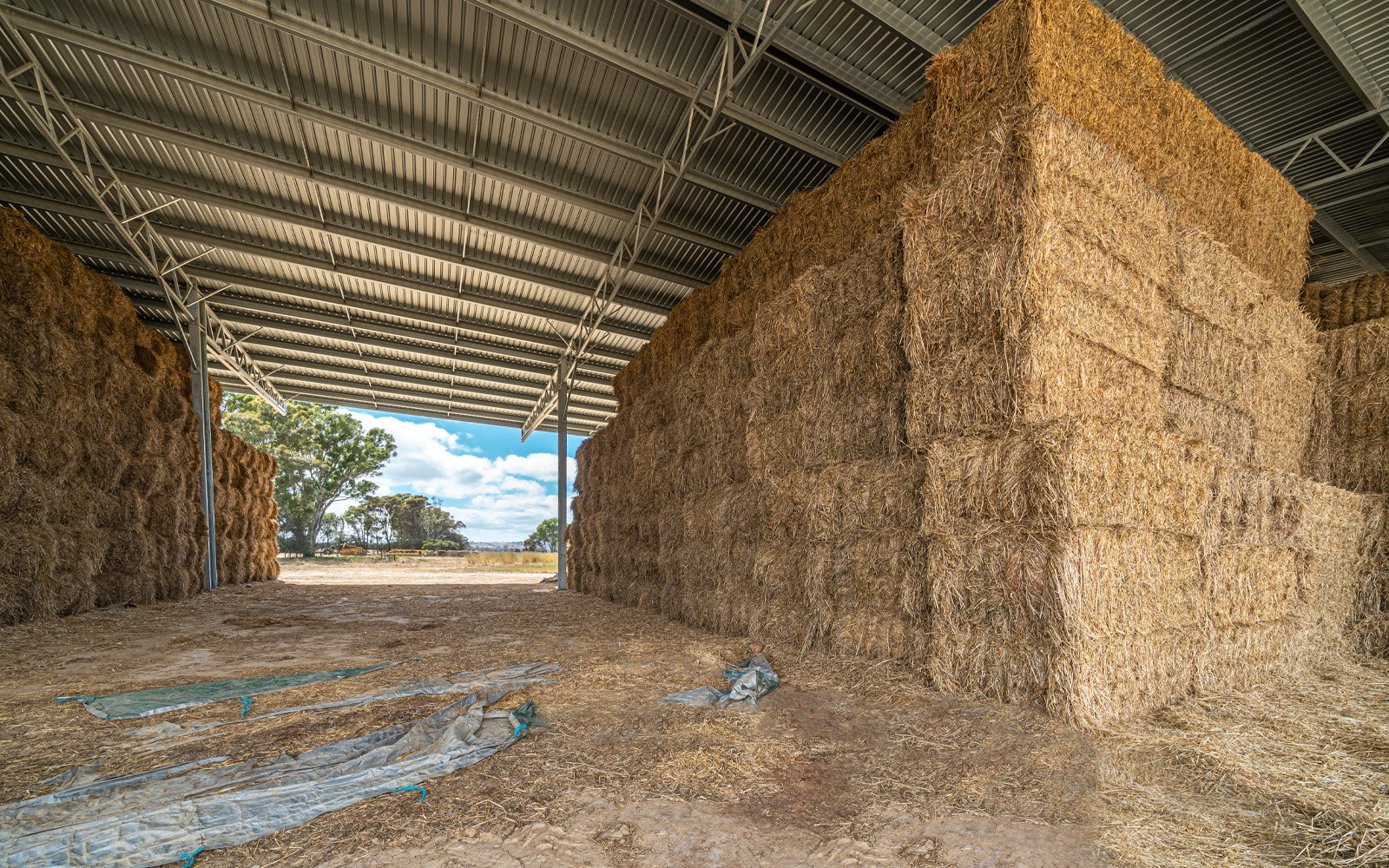 Bruce Ross hay shed 