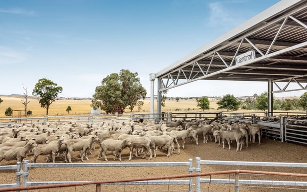 Bruce Stewart agricultural yard cover