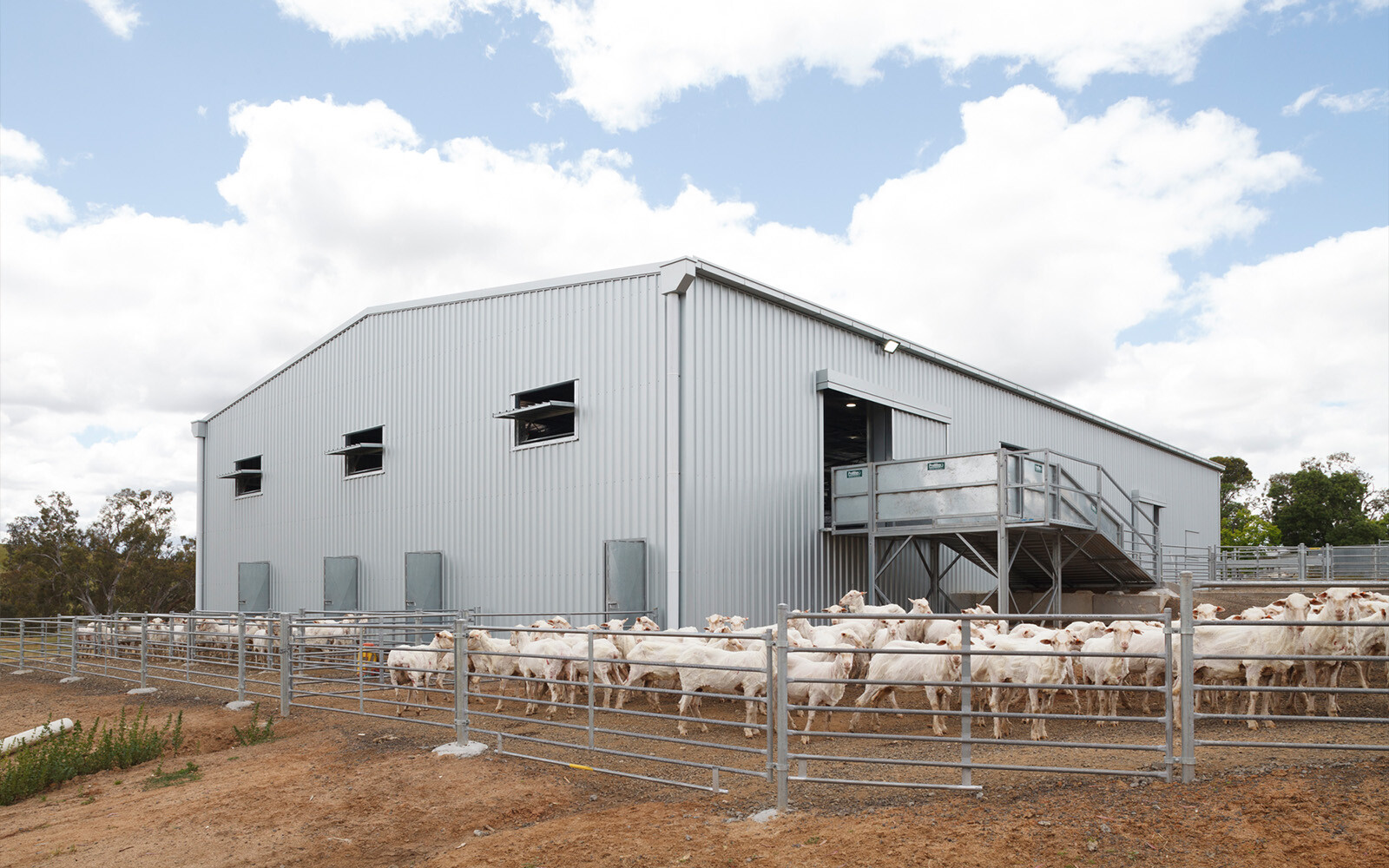 Coliban Estate shearing shed 