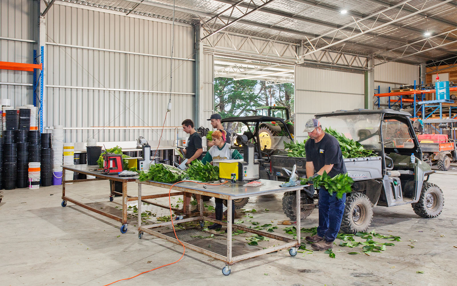 Dakota Flower Company horticulture shed 