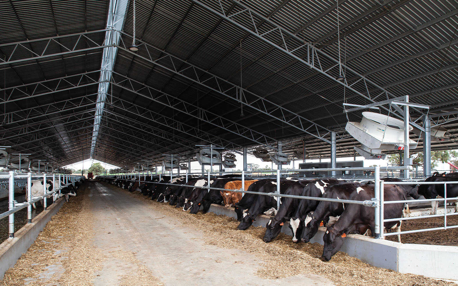 Dehne Vinnicombe dairy barn  