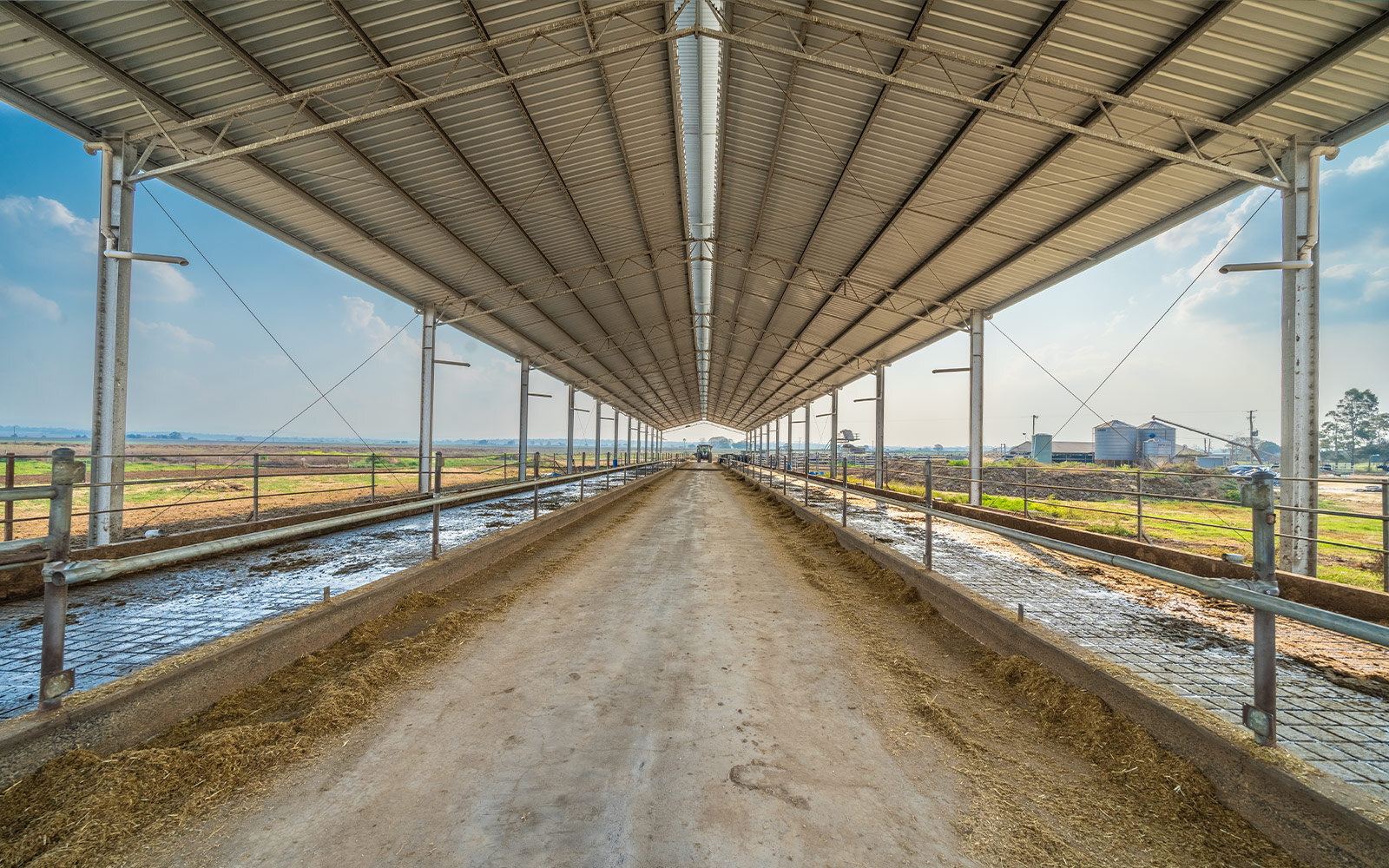 Heath Hoffman dairy barn 