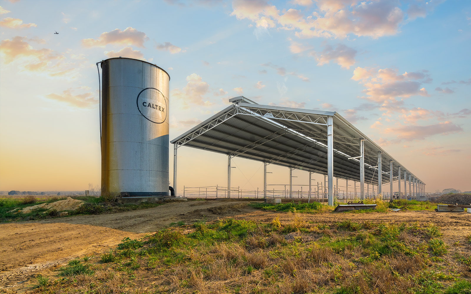 Heath Hoffman dairy barn  