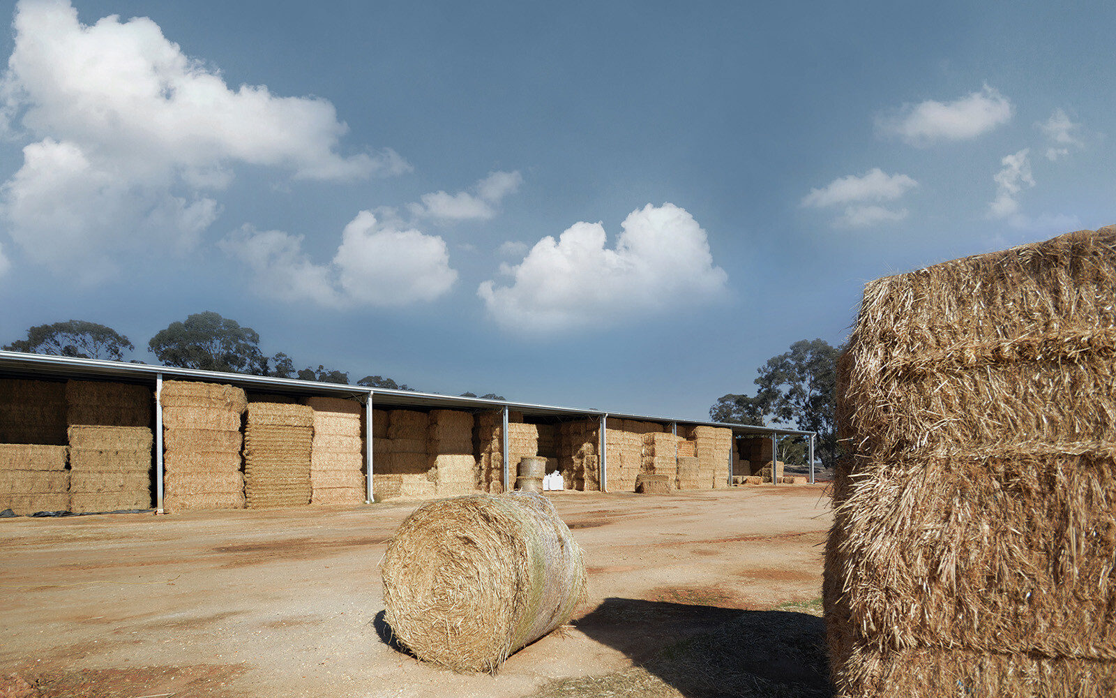 Mark Oxley hay shed  