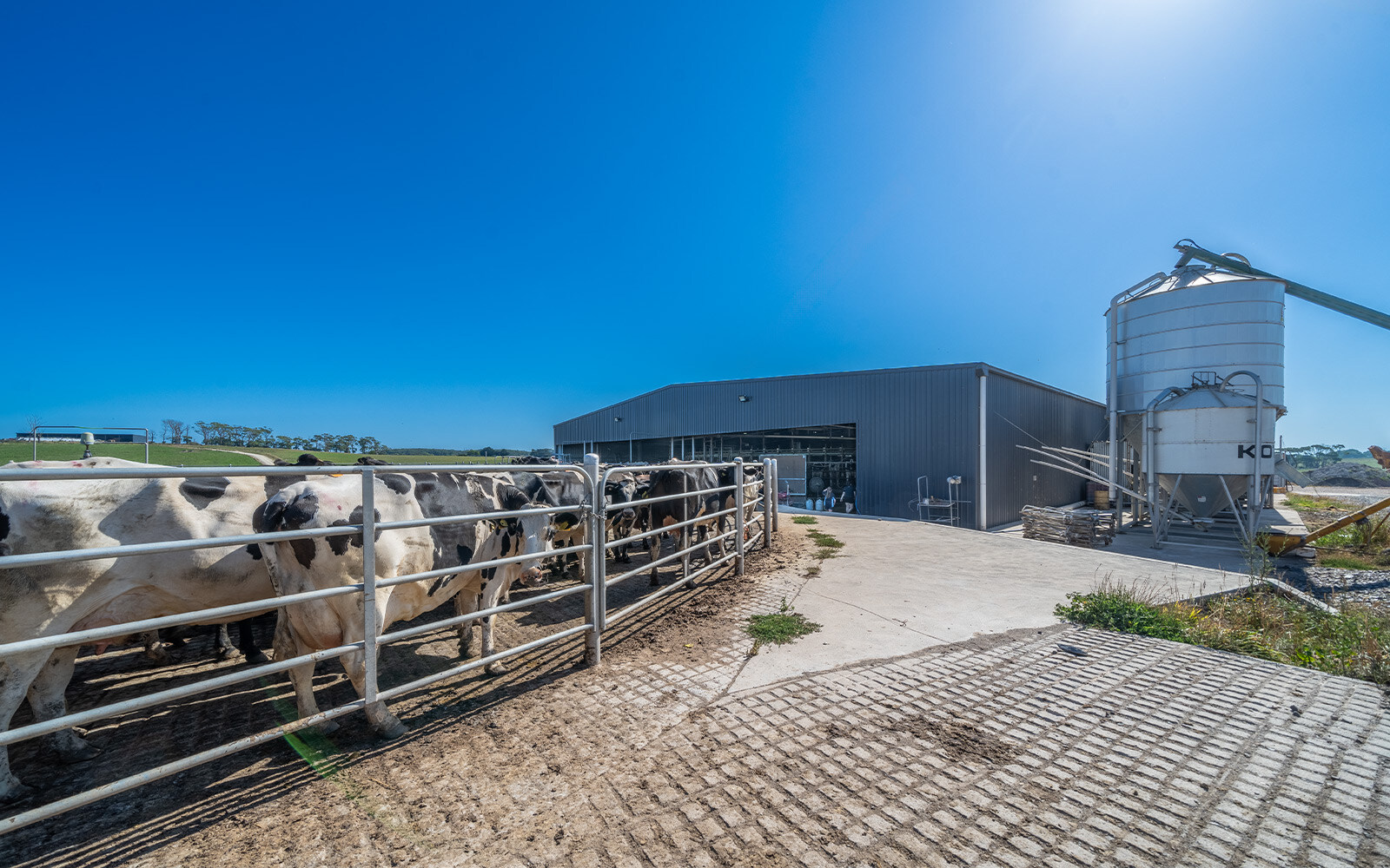 Matthew Latham dairy building  