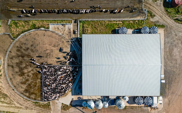 Matthew Latham dairy building  