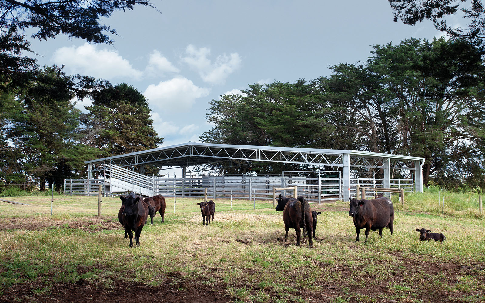 Sam Trovatello agricultural yard cover 