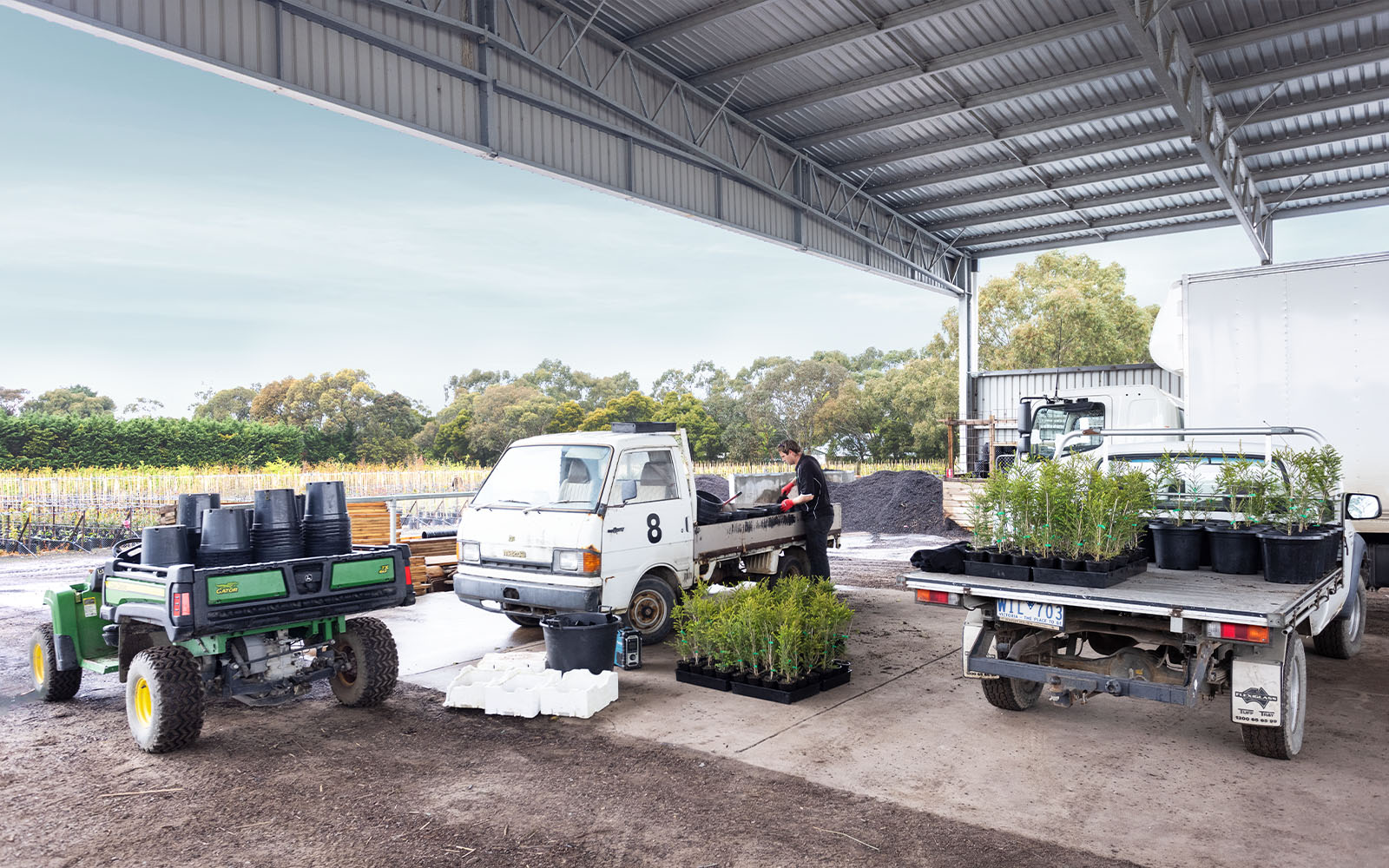 Tall Trees Nursery horticulture shed 