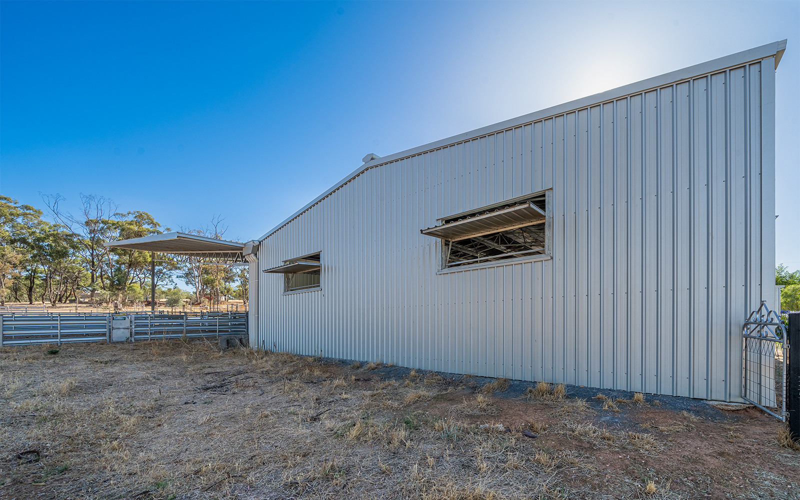 Tim Lockhart shearing shed 