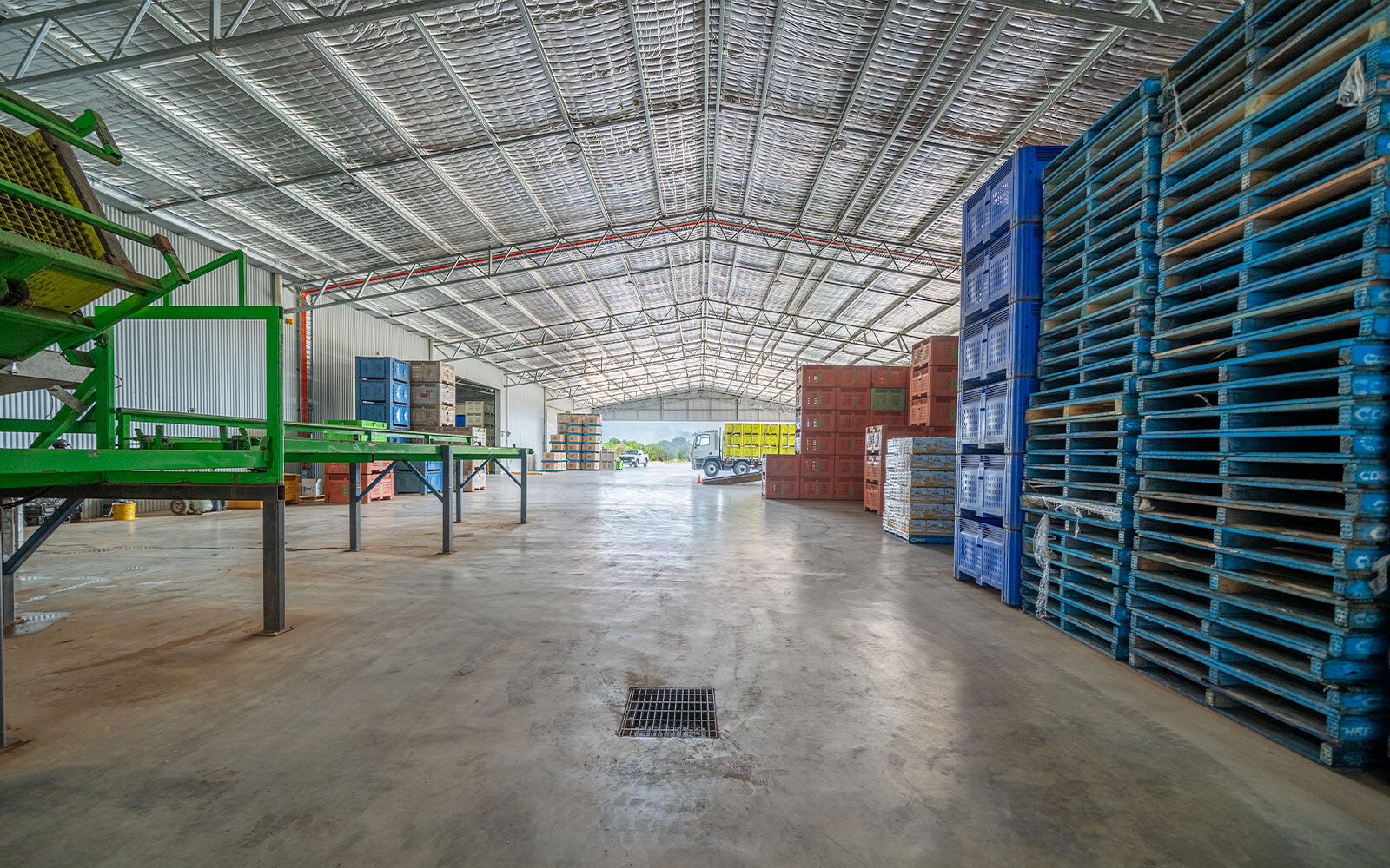 Torren Sergi packing shed