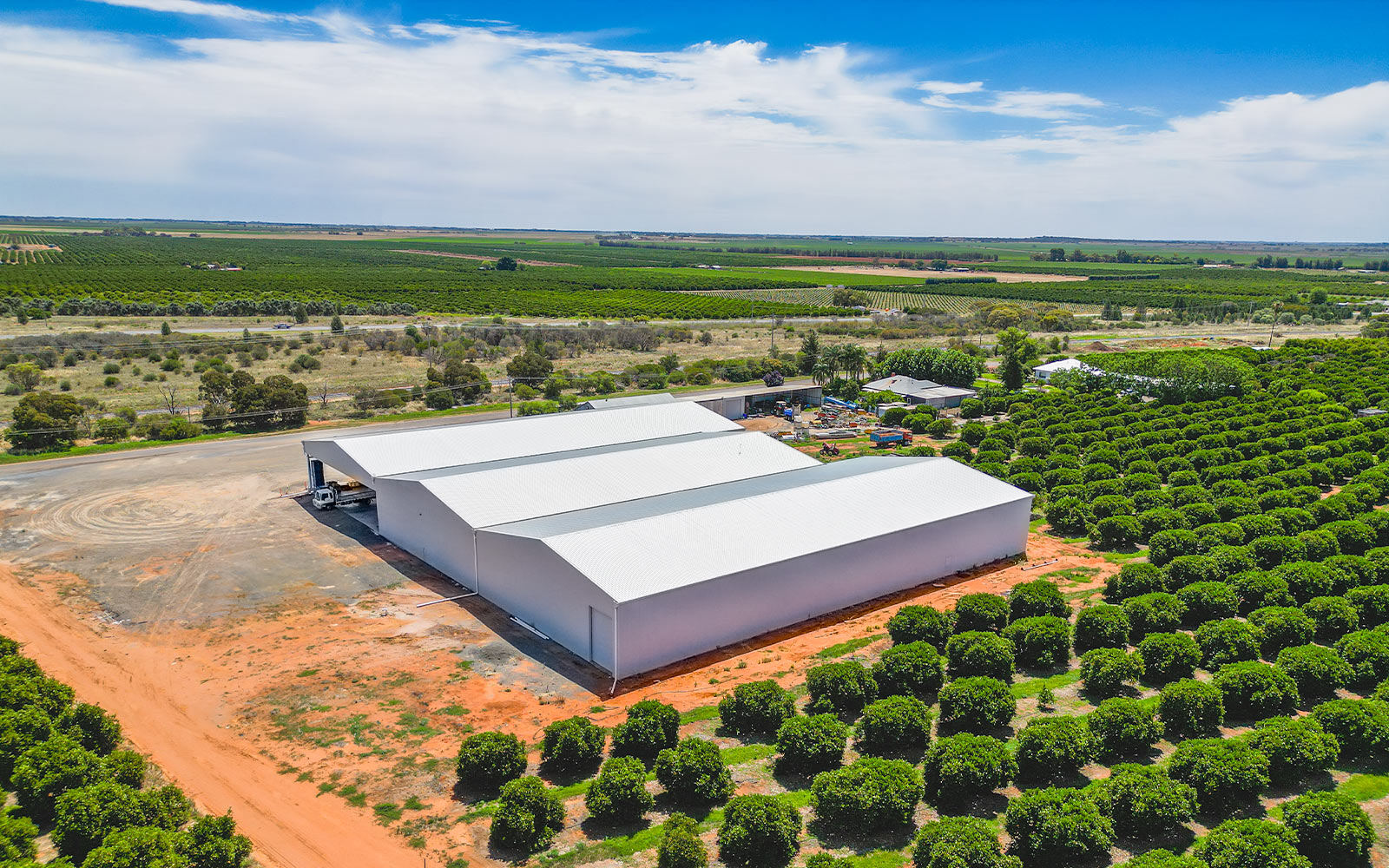 Torren Sergi packing shed 