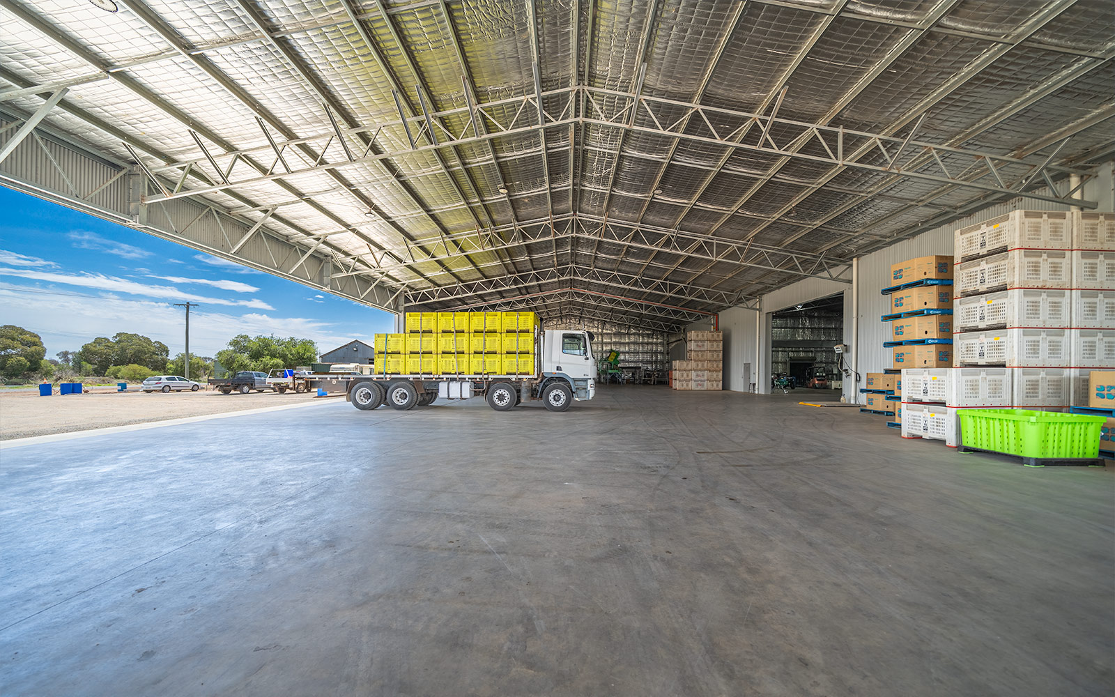 Torren Sergi packing shed