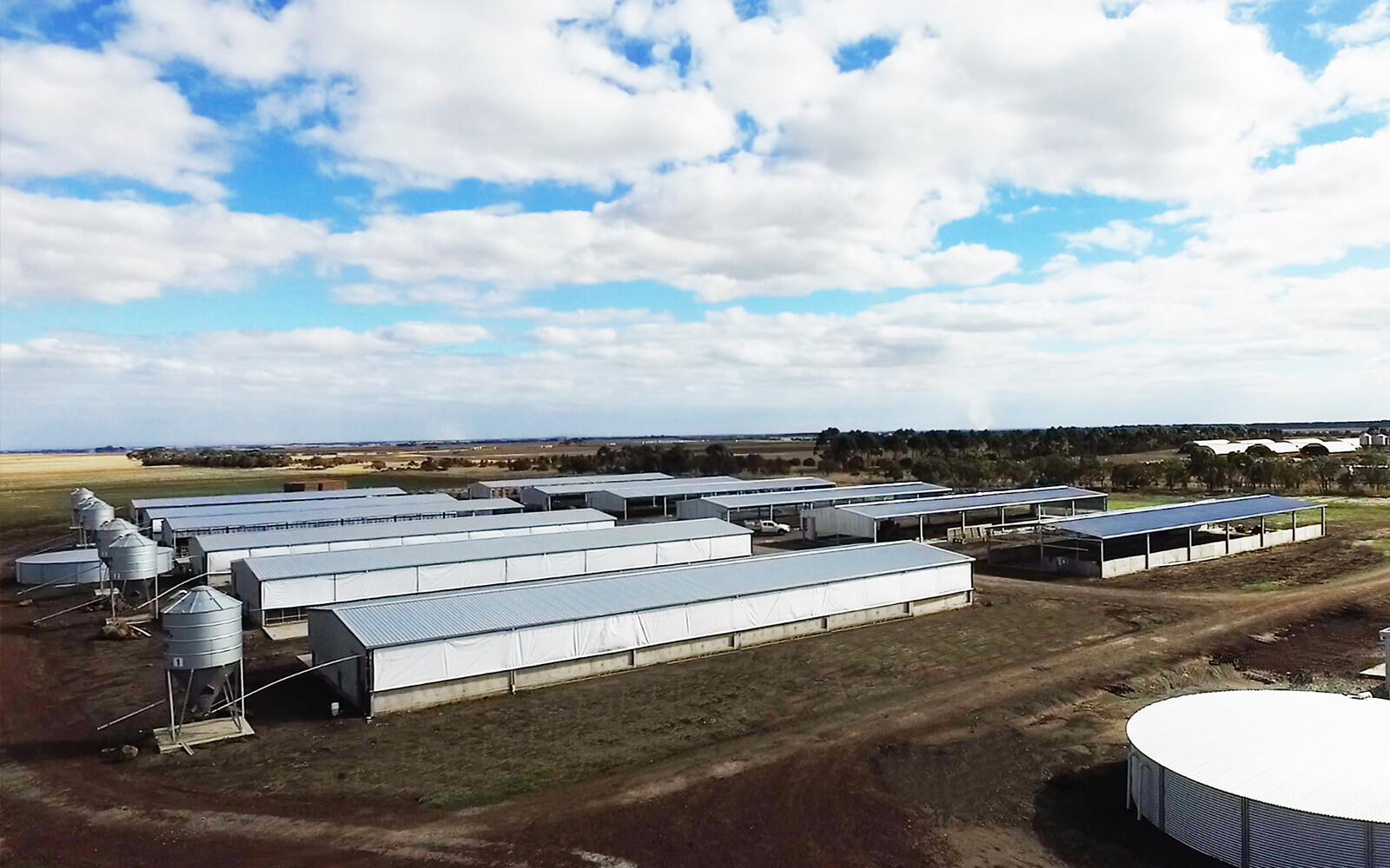 Western Plains Pork intensive animal husbandry shed 