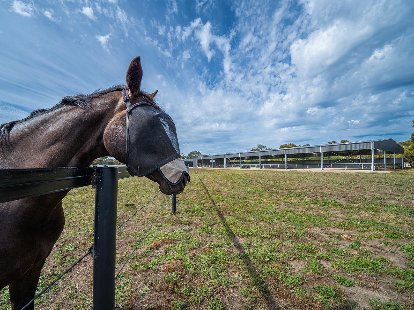 Amy Slayter indoor dressage arena 