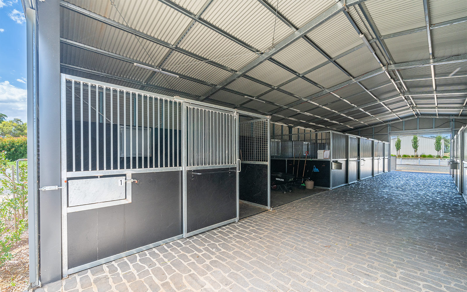 Debbie Warne stable complex