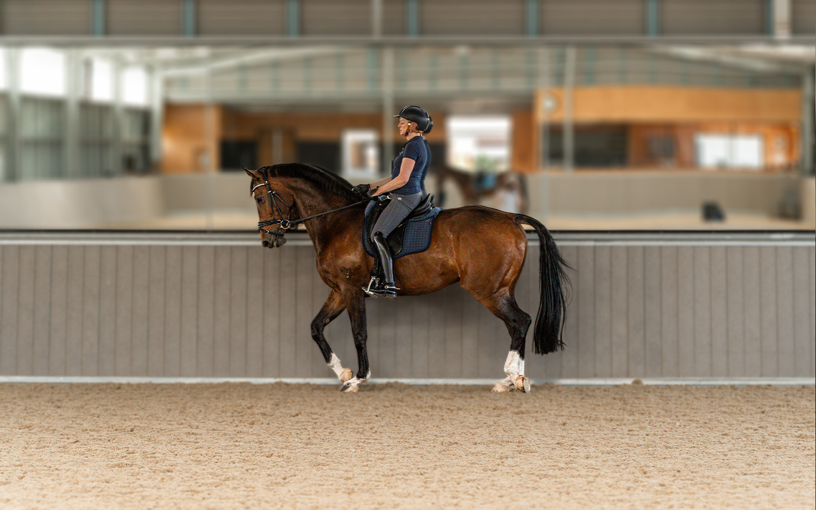 Debbie Warne indoor dressage arena 