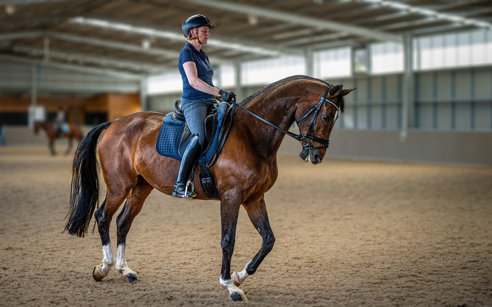 Debbie Warne indoor arena and stable complex