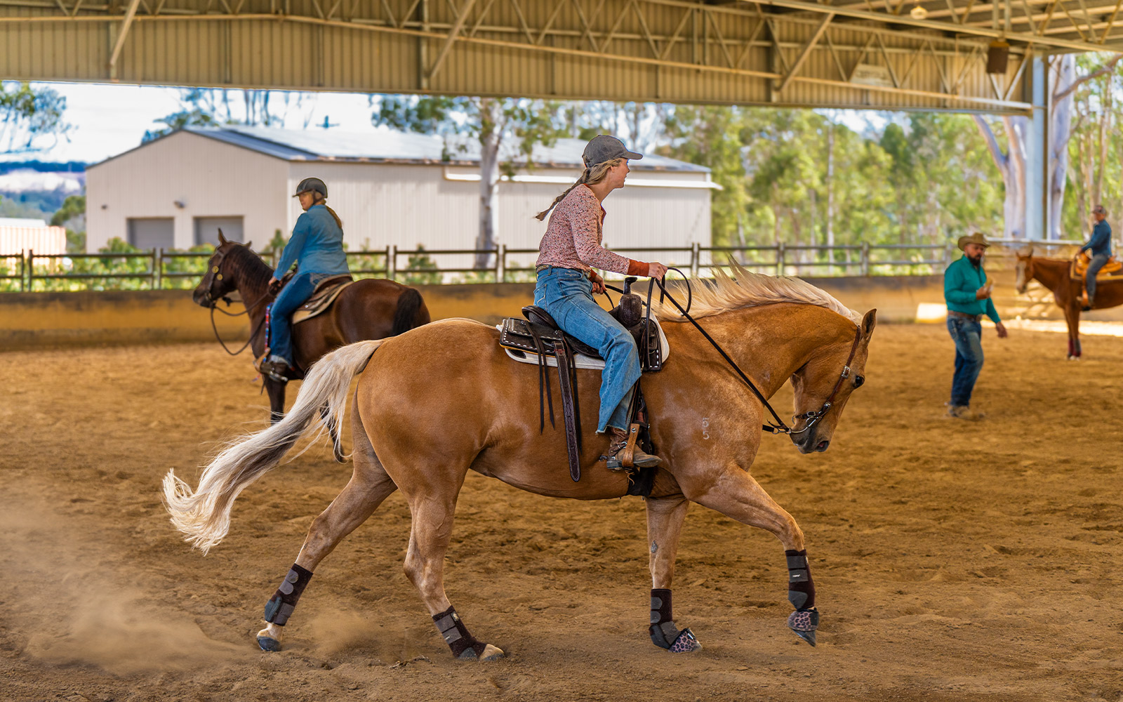 Jeff Ralph western riding arena  