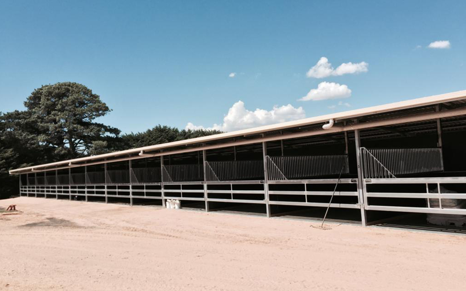 Lindsay Park Stud day yard cover 