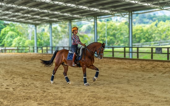 Nicole Tough indoor dressage arena 4_tile