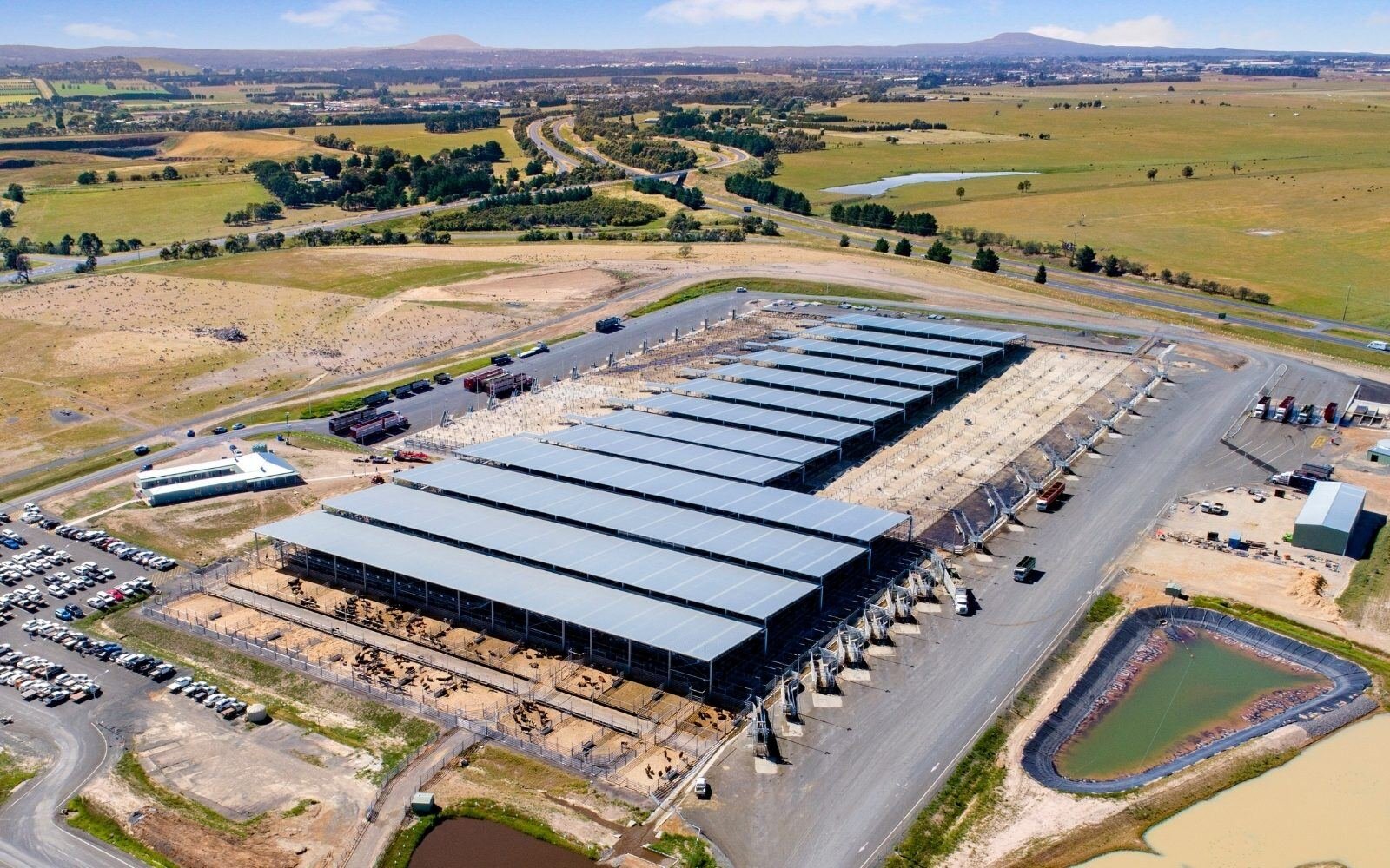 Ballarat saleyards