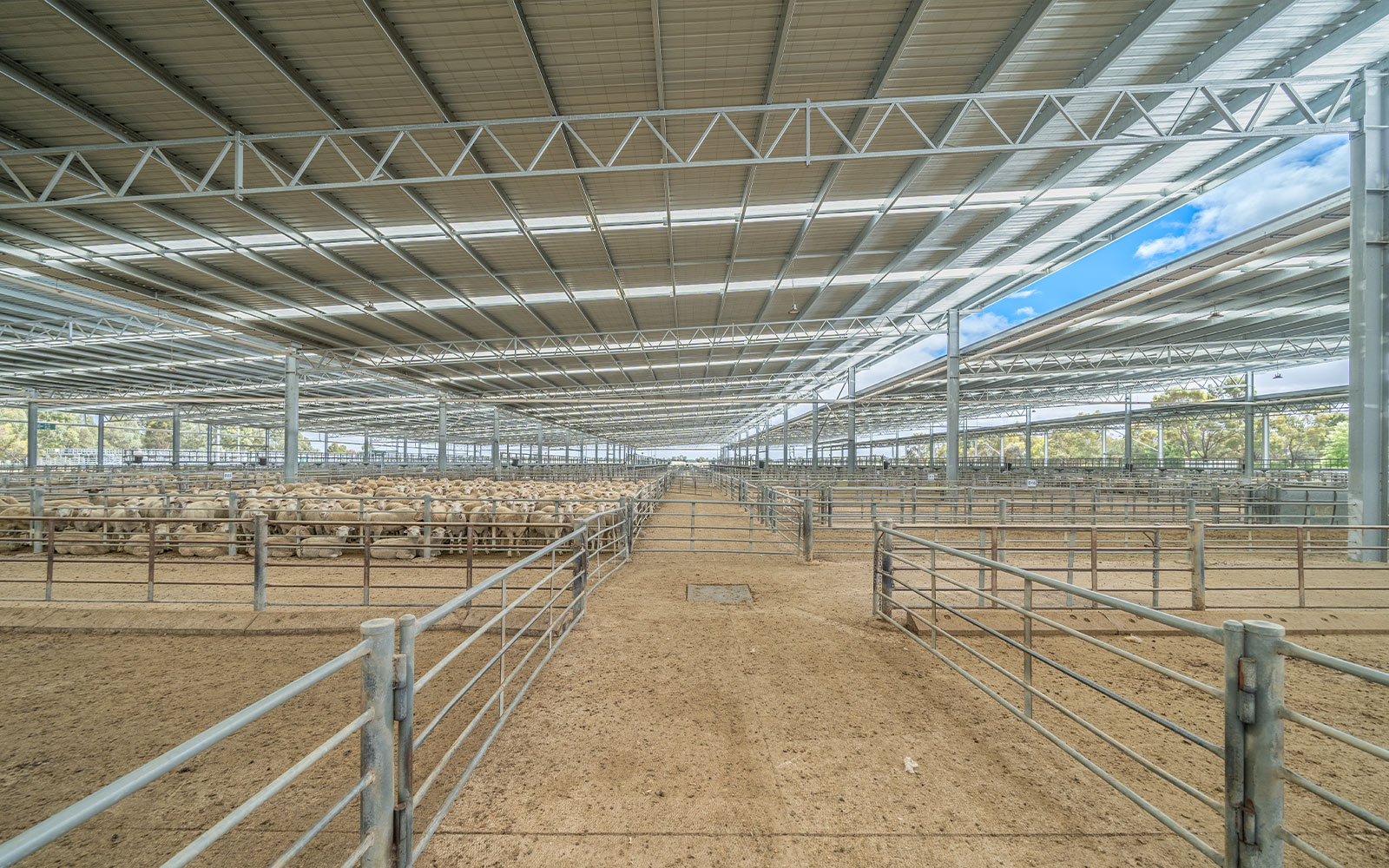 Horsham Regional Livestock Exchange large industrial building shed