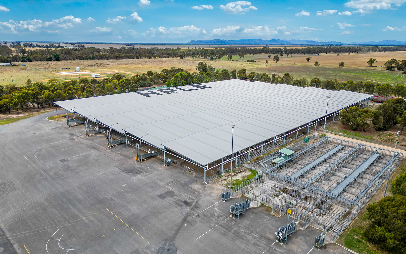 Horsham Regional Livestock Exchange saleyard cover  