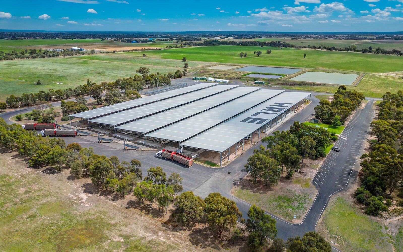 Horsham Regional Livestock Exchange large industrial building shed