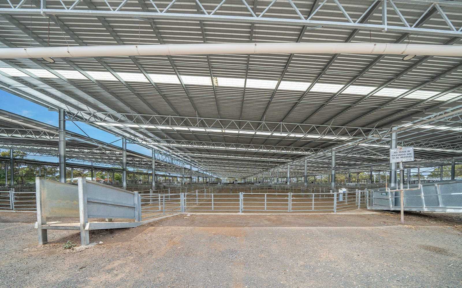 Horsham Regional Livestock Exchange saleyard cover 