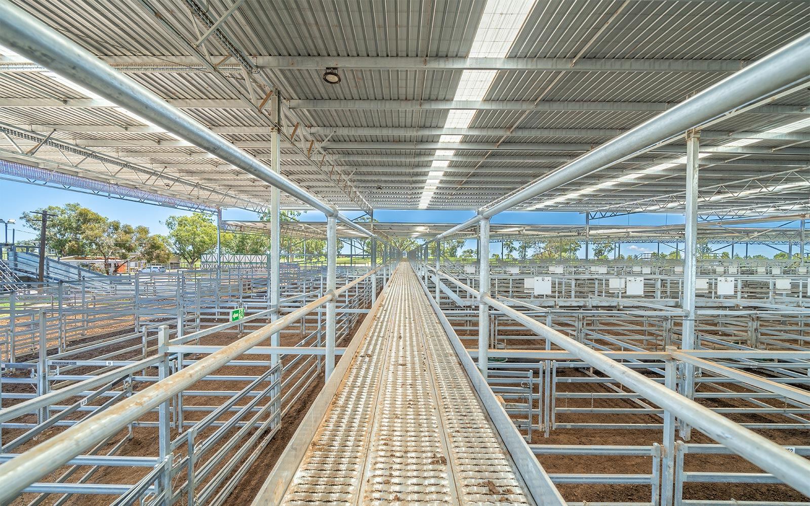 Inverell Livestock Exchange industrial saleyard cover