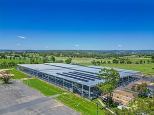 Inverell Livestock Exchange saleyard cover 1_gallery