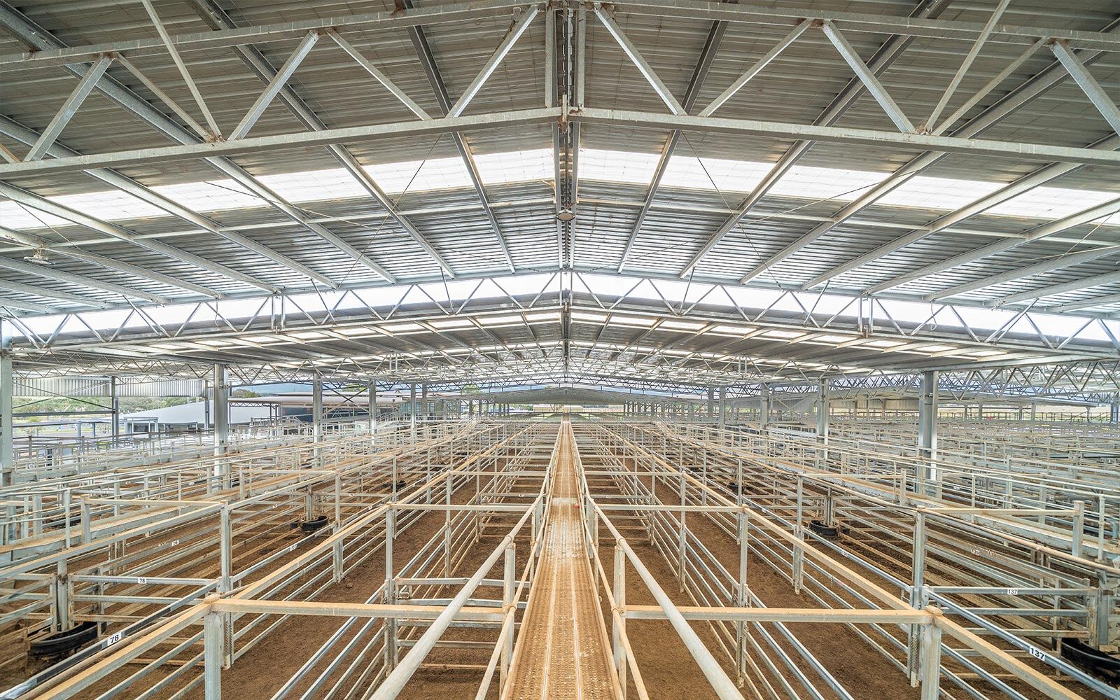 Scone Regional Livestock Selling Centre saleyard cover