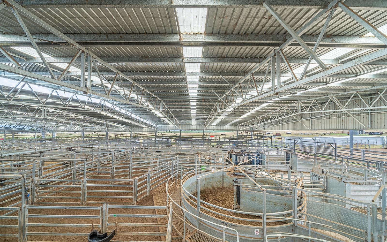 Scone Regional Livestock Selling Centre saleyard large industrial building