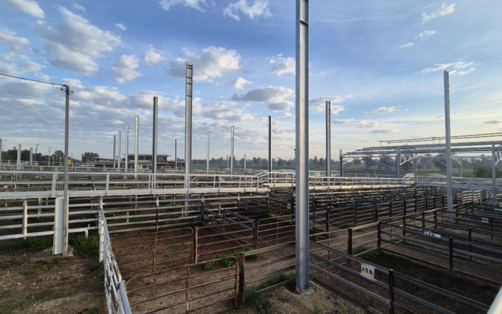 Gunnedah saleyard cover