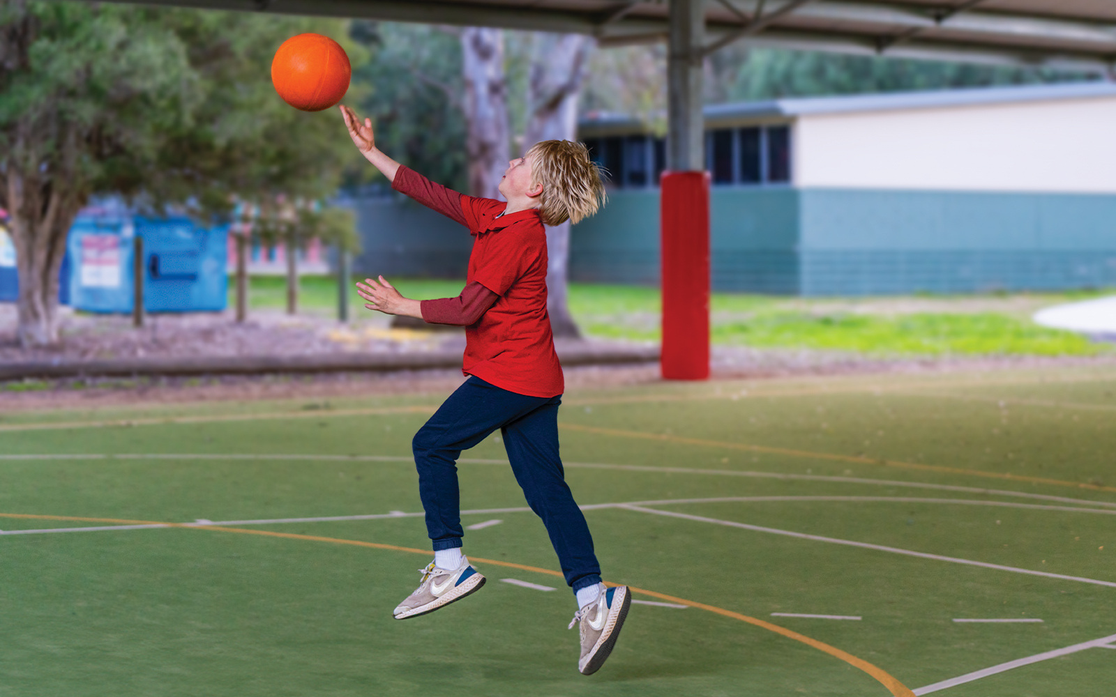 Avenel Primary School ball court cover 