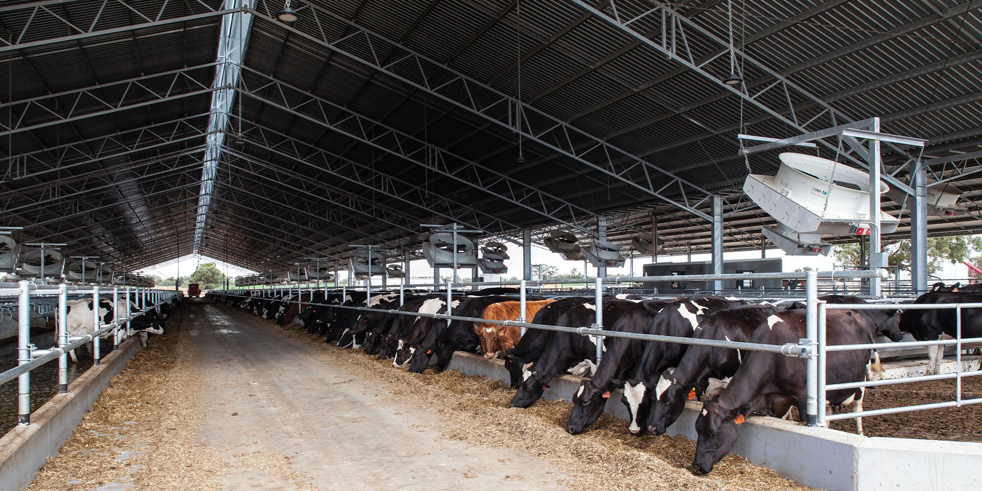 dairy buildings