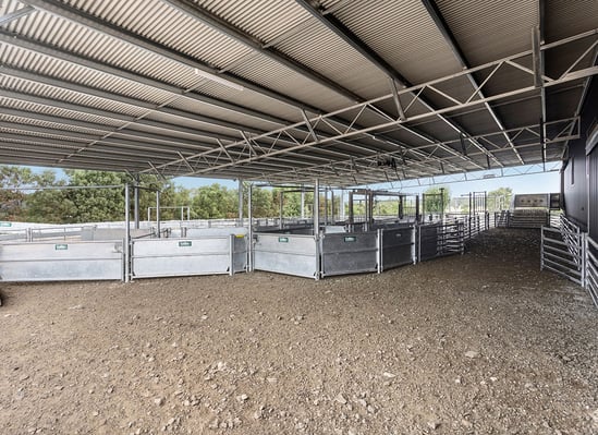 Bolobek sheep shearing shed